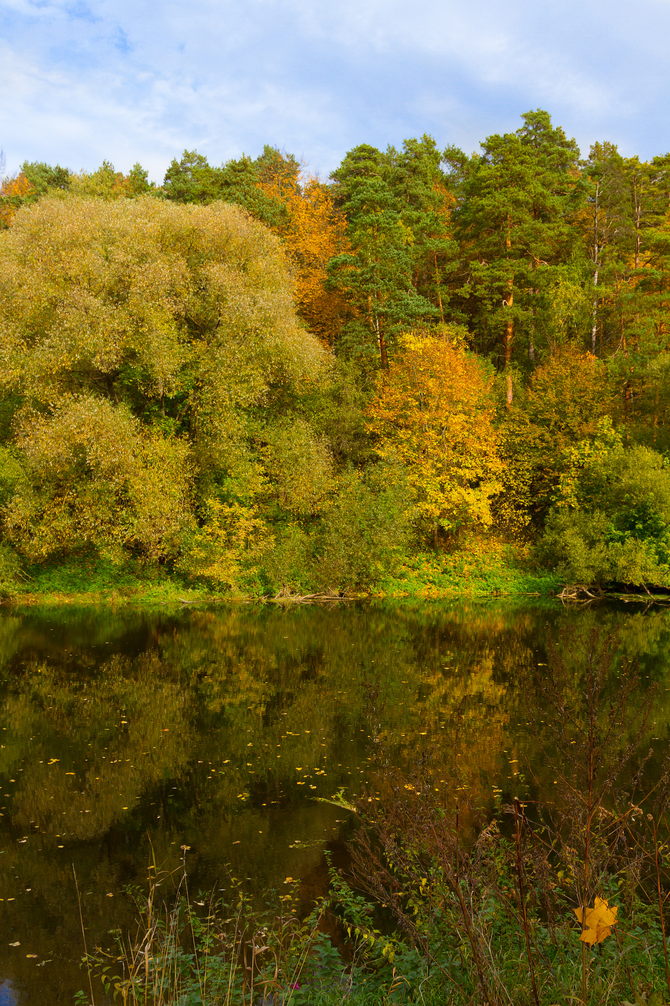 Sigma 18-35mm f/1.8 DC HSM sample photo. Autumn photography