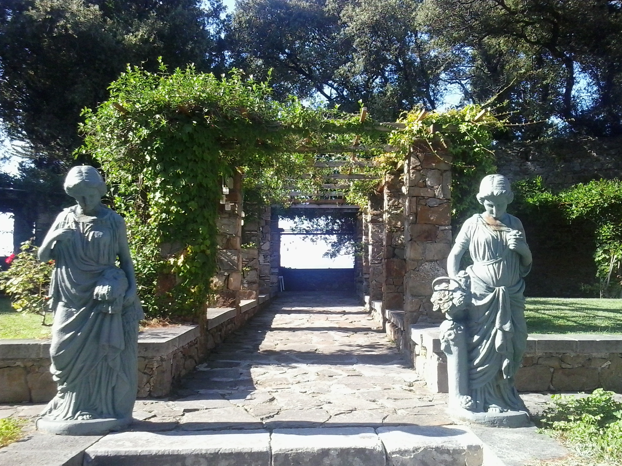 Samsung Galaxy Young sample photo. Aristocratic garden  photography