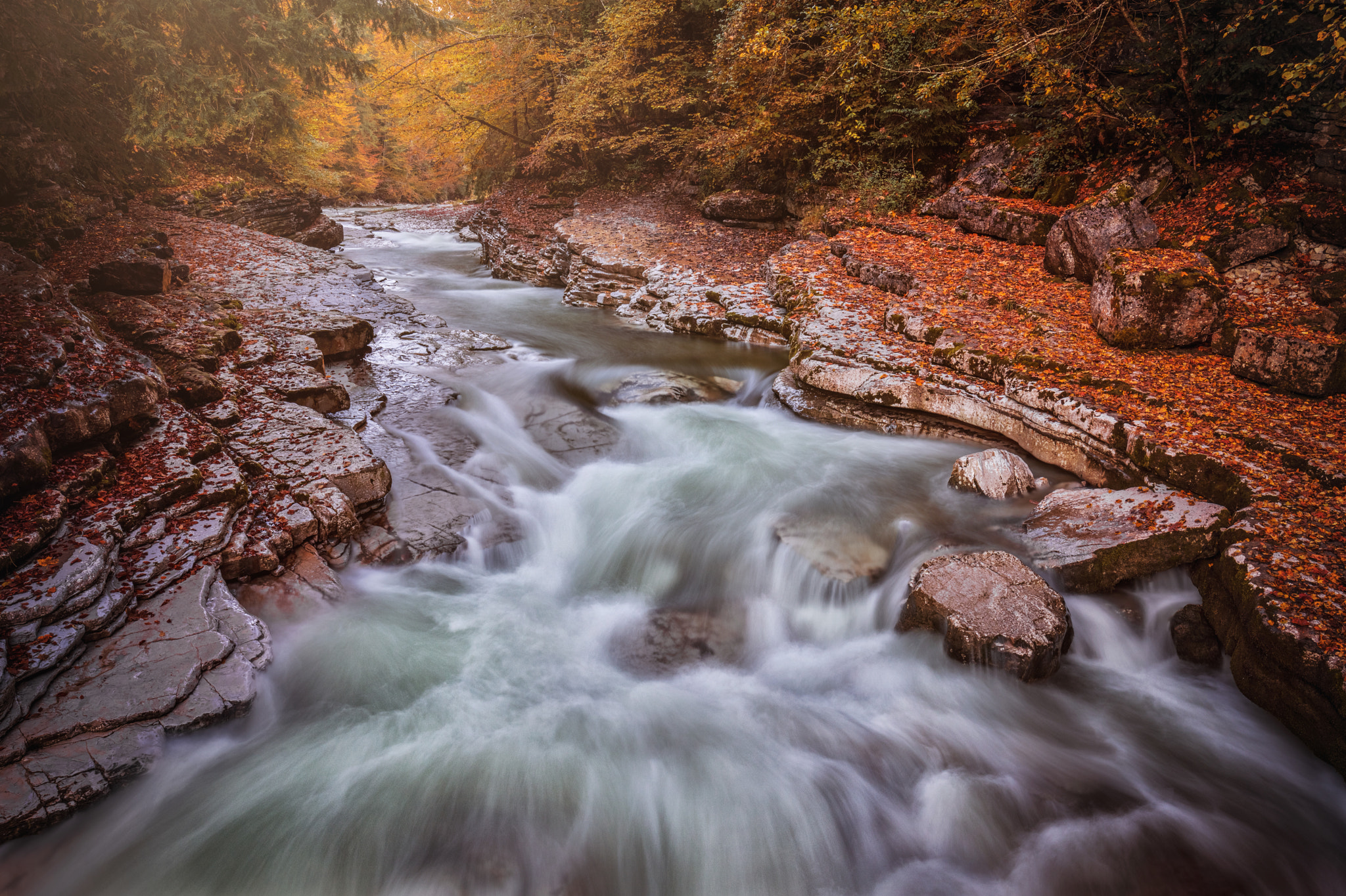 Canon EF 300mm f/2.8L sample photo. Autumn ii photography