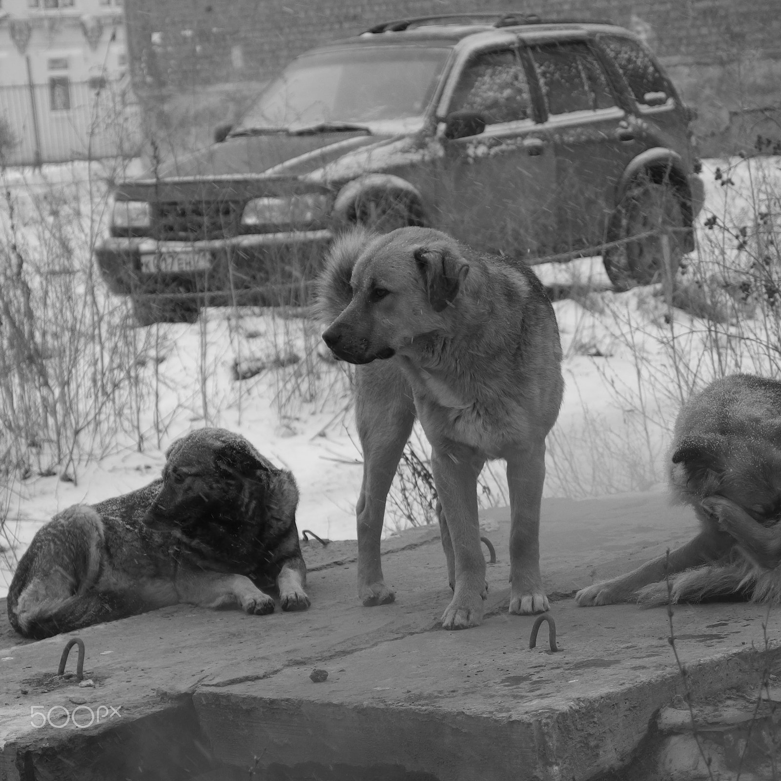 PENTAX RICOH IMAGING PENTAX MX-1 sample photo. Untitled photography
