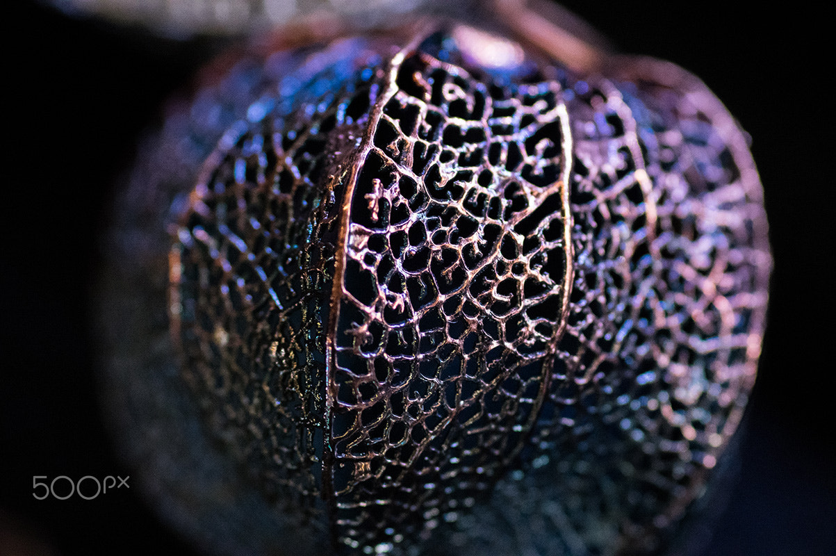 Pentax K-3 sample photo. The metal skeleton of physalis photography