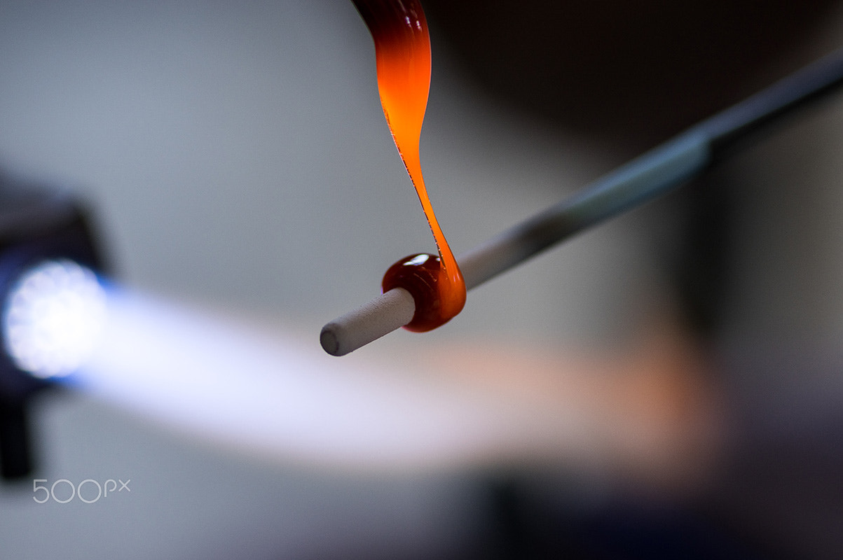 Pentax smc D-FA 100mm F2.8 macro sample photo. Glass fusion 2 photography