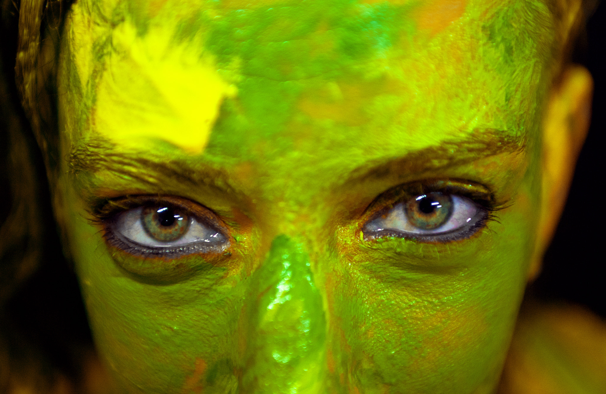 Sigma 24-70mm F2.8 EX DG Macro sample photo. Shrek style photography