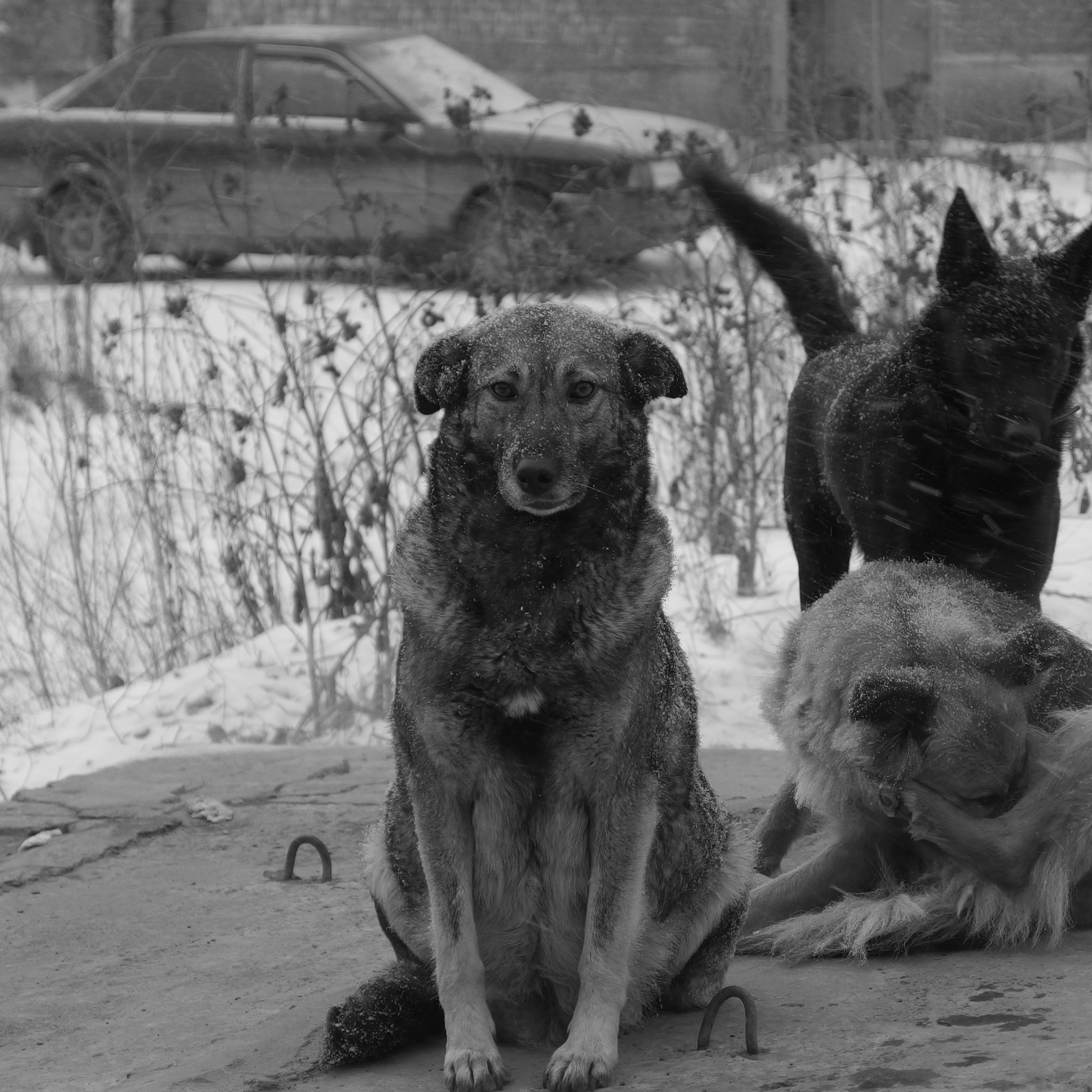 PENTAX RICOH IMAGING PENTAX MX-1 sample photo