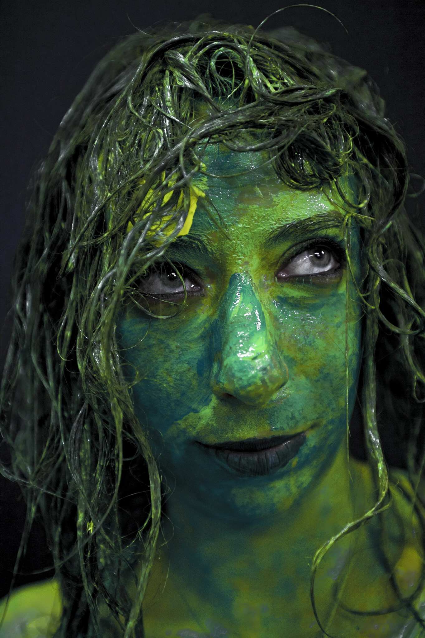 Canon EOS 5D + Sigma 24-70mm F2.8 EX DG Macro sample photo. Shrek style #2 photography