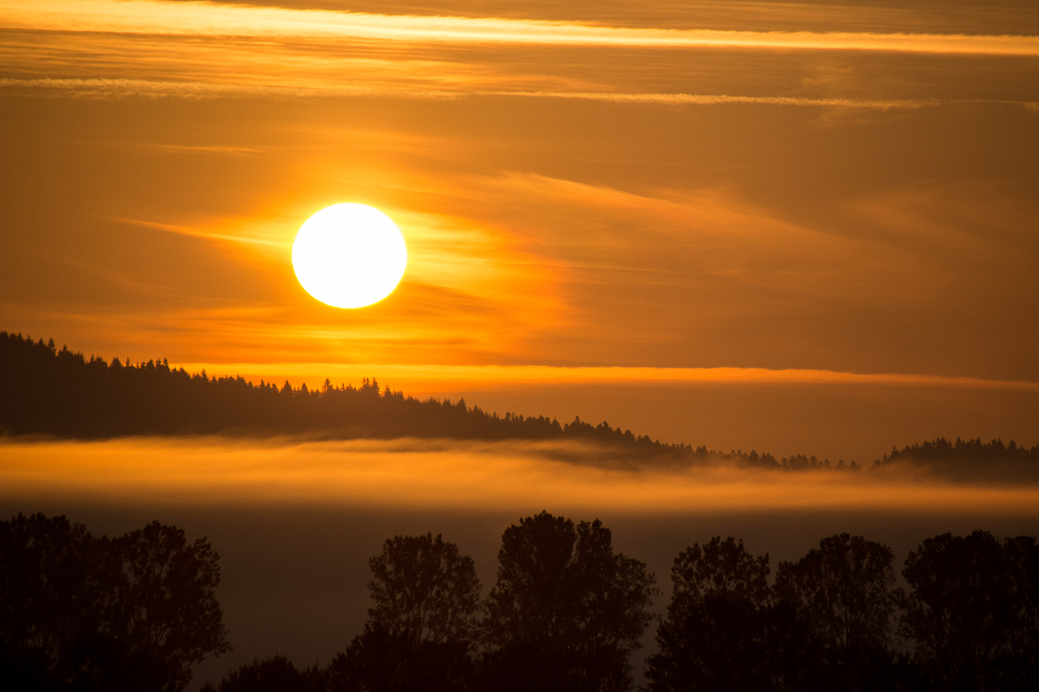 Sigma 18-250mm F3.5-6.3 DC Macro OS HSM sample photo. Sun in the morning photography
