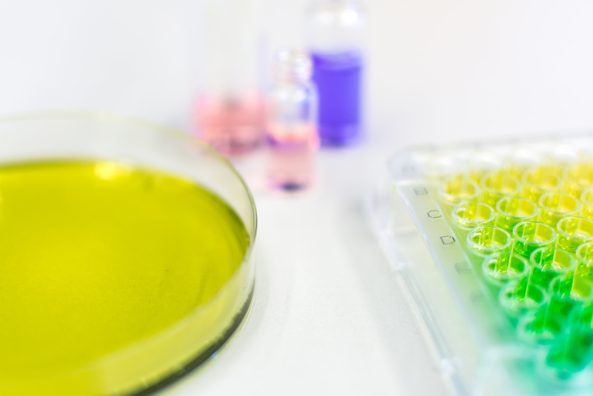 Microtiter Plate and Petri Dish with Liquid