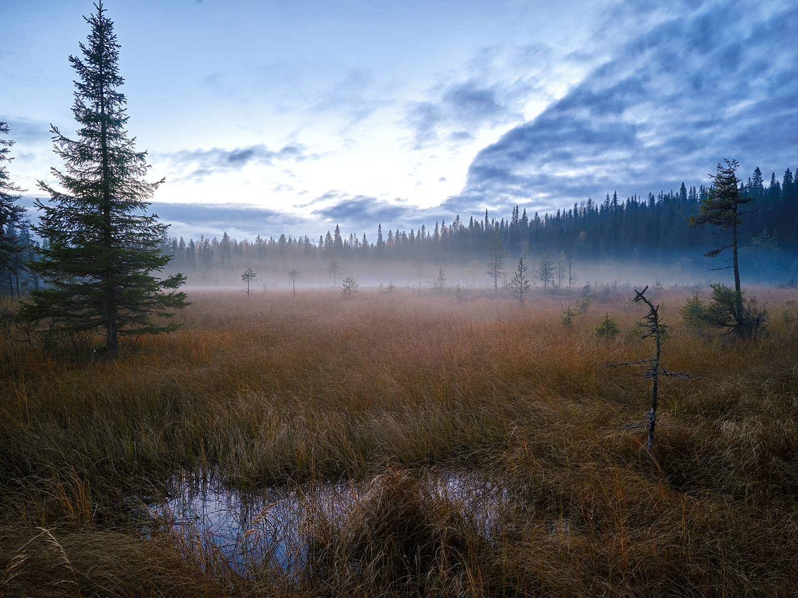 Sony a7 + ZEISS Batis 18mm F2.8 sample photo. Dsc photography