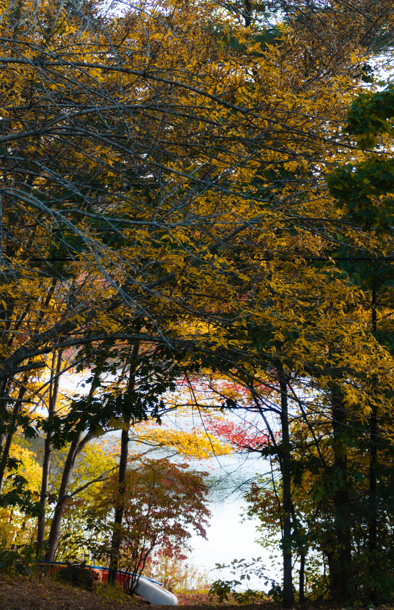 Nikon AF-Nikkor 80-200mm F2.8D ED sample photo. Fading colors photography