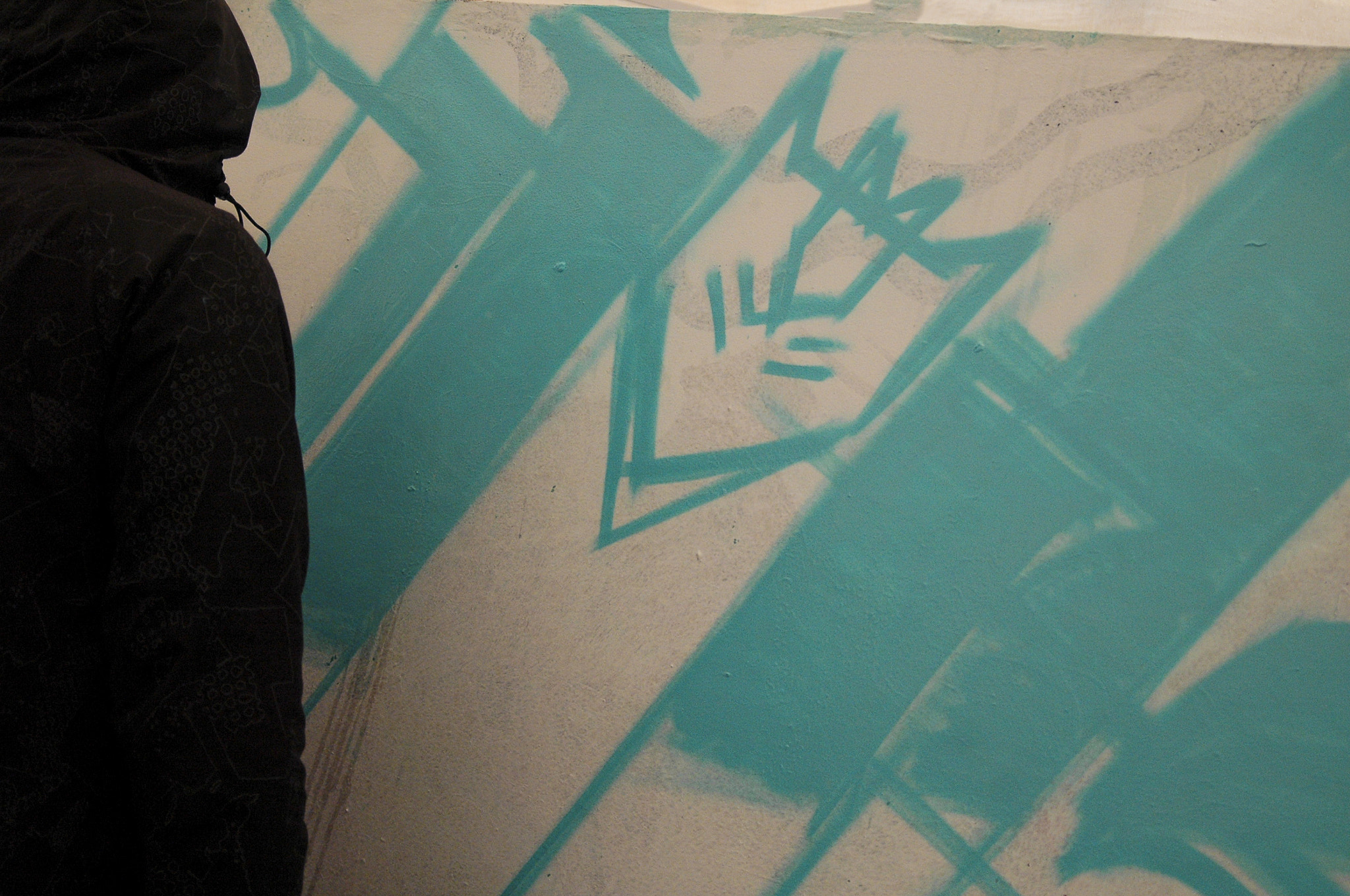 AF Zoom-Nikkor 28-80mm f/3.3-5.6G sample photo. Budapest graffiti in action photography