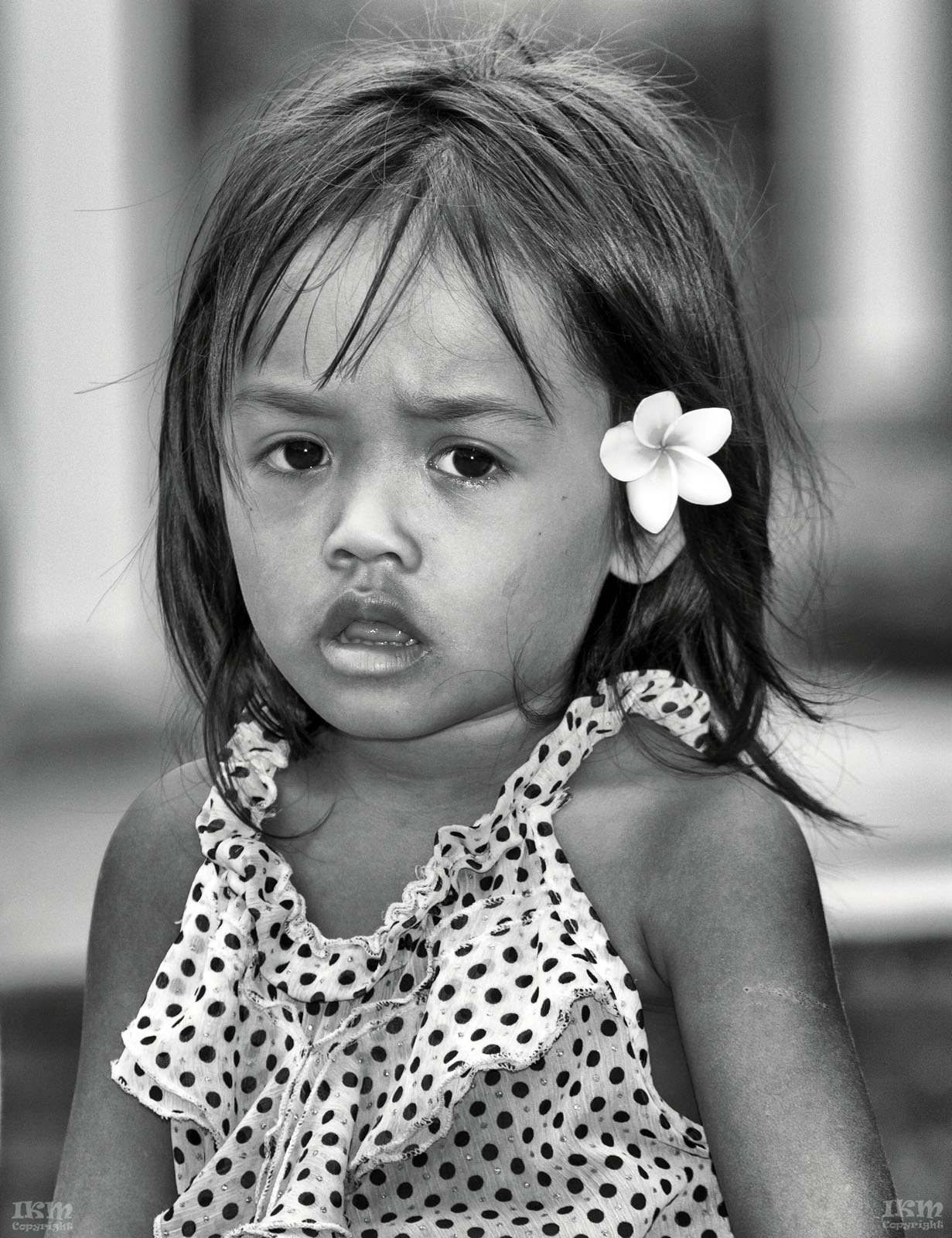 Canon EF 70-200mm F2.8L USM sample photo. Ikml photography