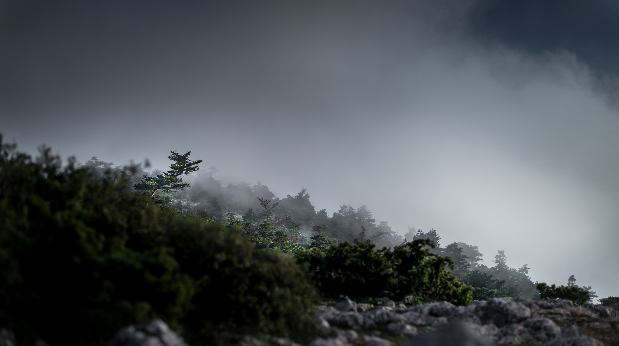 Nikon D4S + Nikon AF-S Nikkor 50mm F1.8G sample photo. Approaching alpine photography