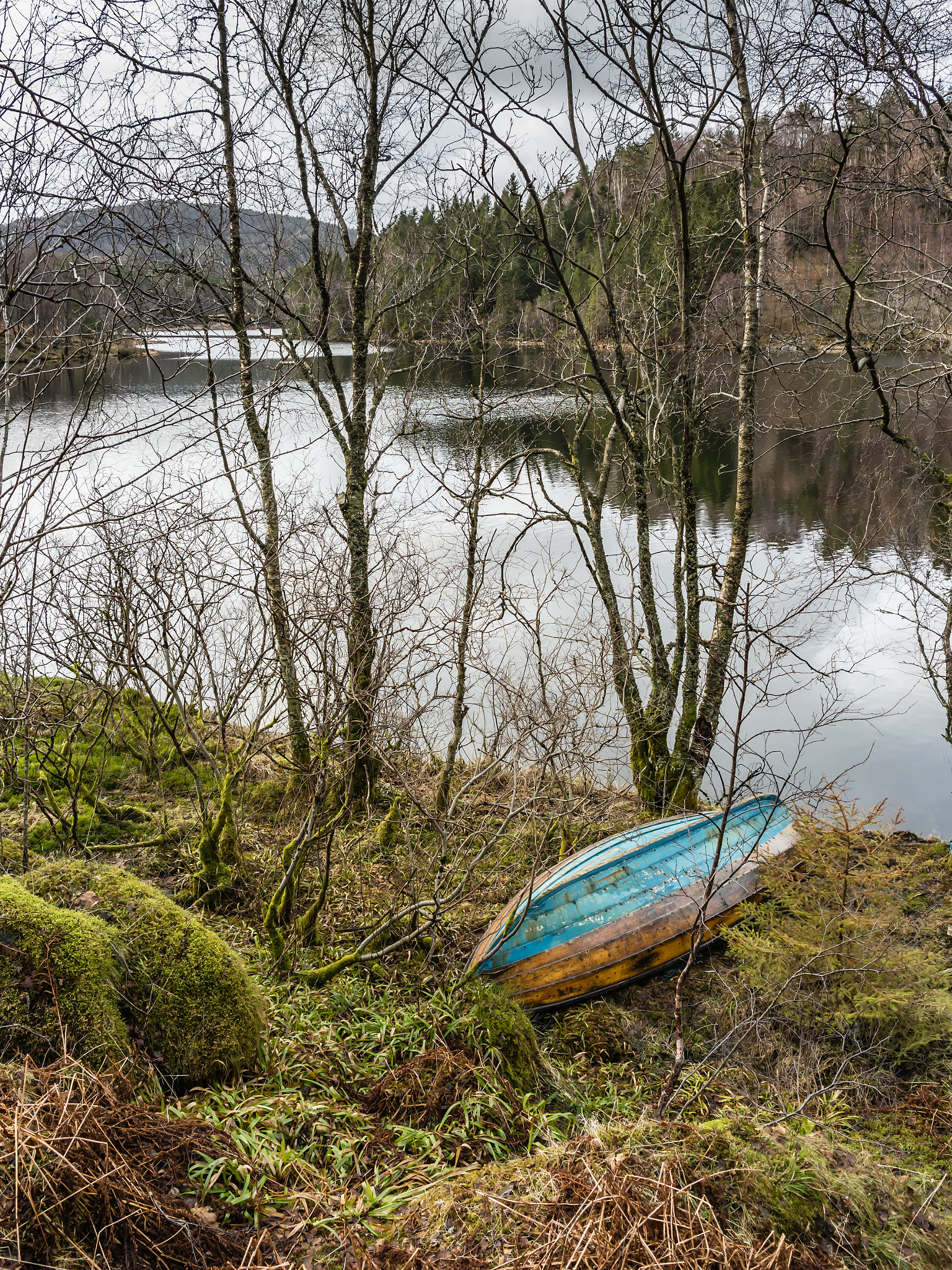 Samsung NX 18-55mm F3.5-5.6 OIS sample photo. "waiting for a new summer" photography
