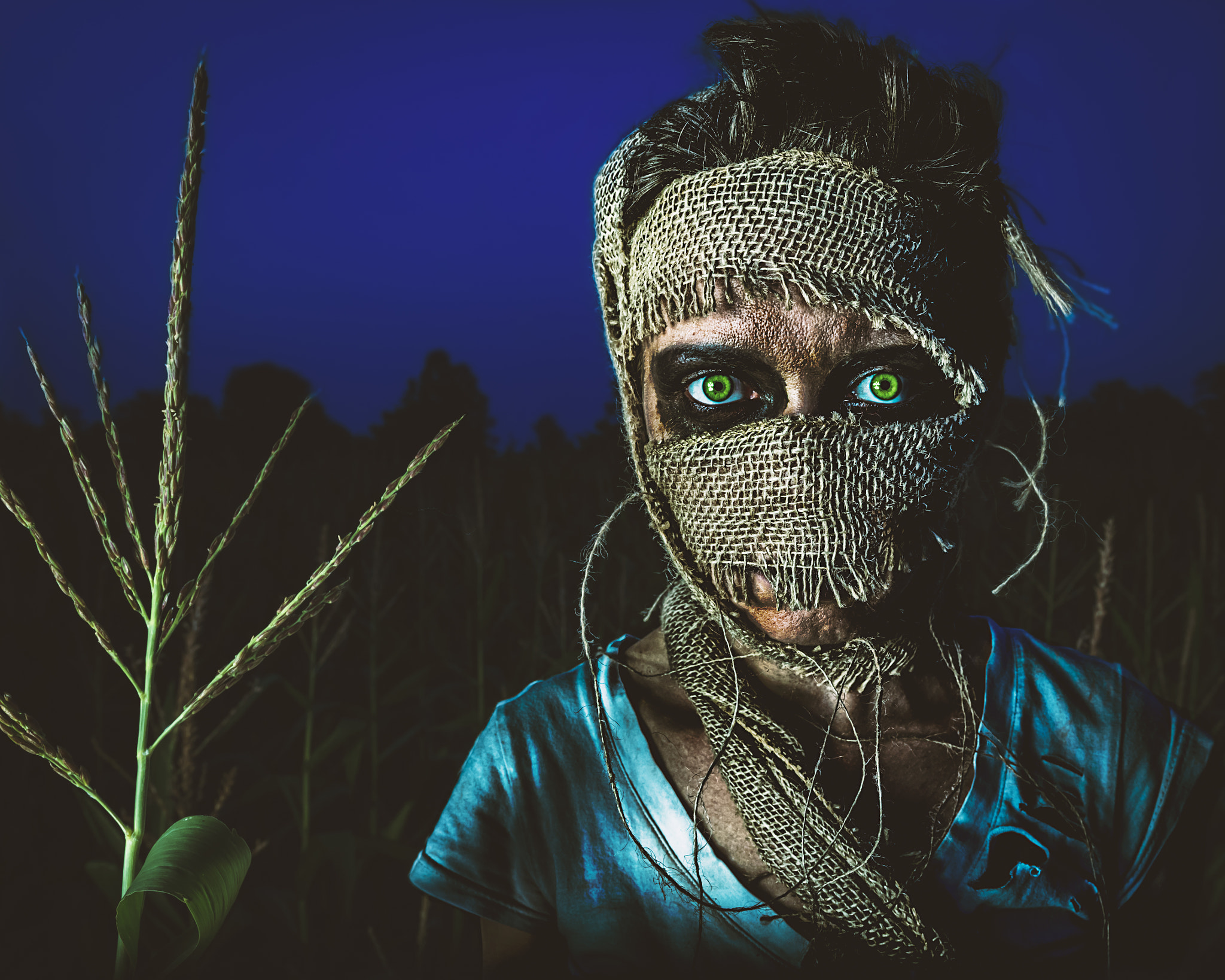 Canon EOS 7D Mark II + Sigma 18-35mm f/1.8 DC HSM sample photo. Scarecrow photography