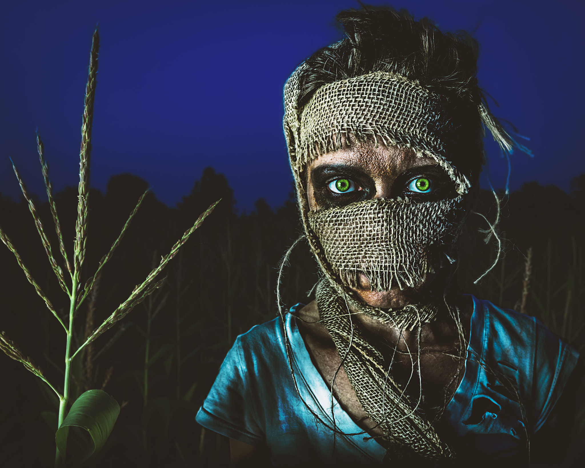 Sigma 18-35mm f/1.8 DC HSM sample photo. Scarecrow photography