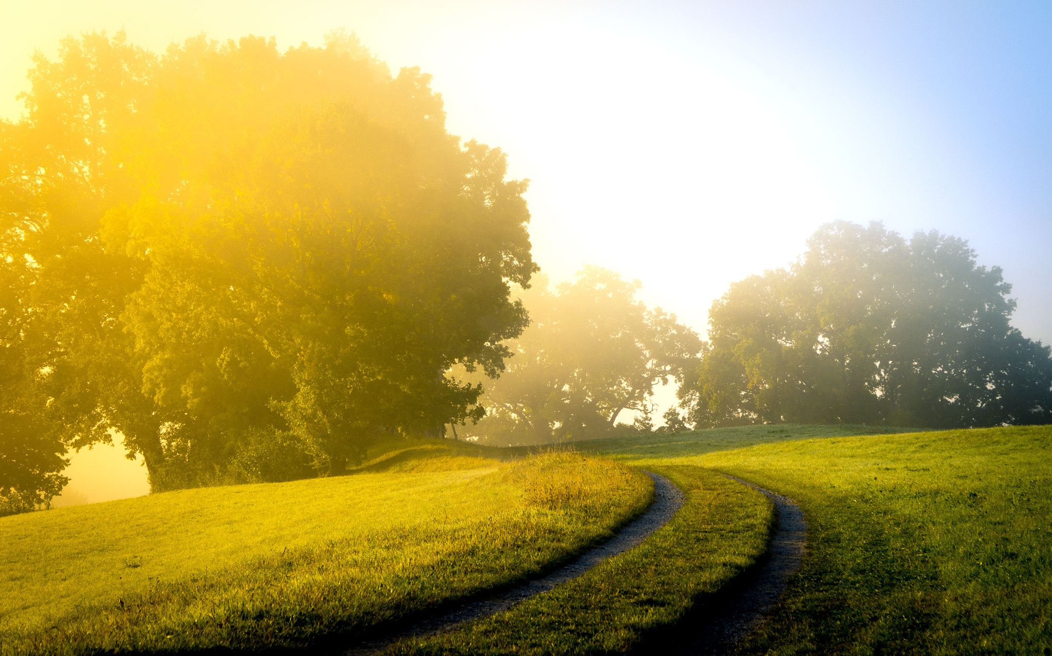 Sony DT 16-105mm F3.5-5.6 sample photo. Sun on mist photography