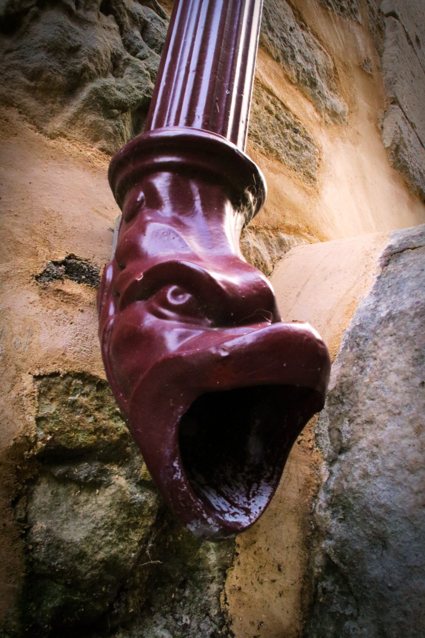 Canon EOS 760D (EOS Rebel T6s / EOS 8000D) sample photo. Red gargoyle gutter photography