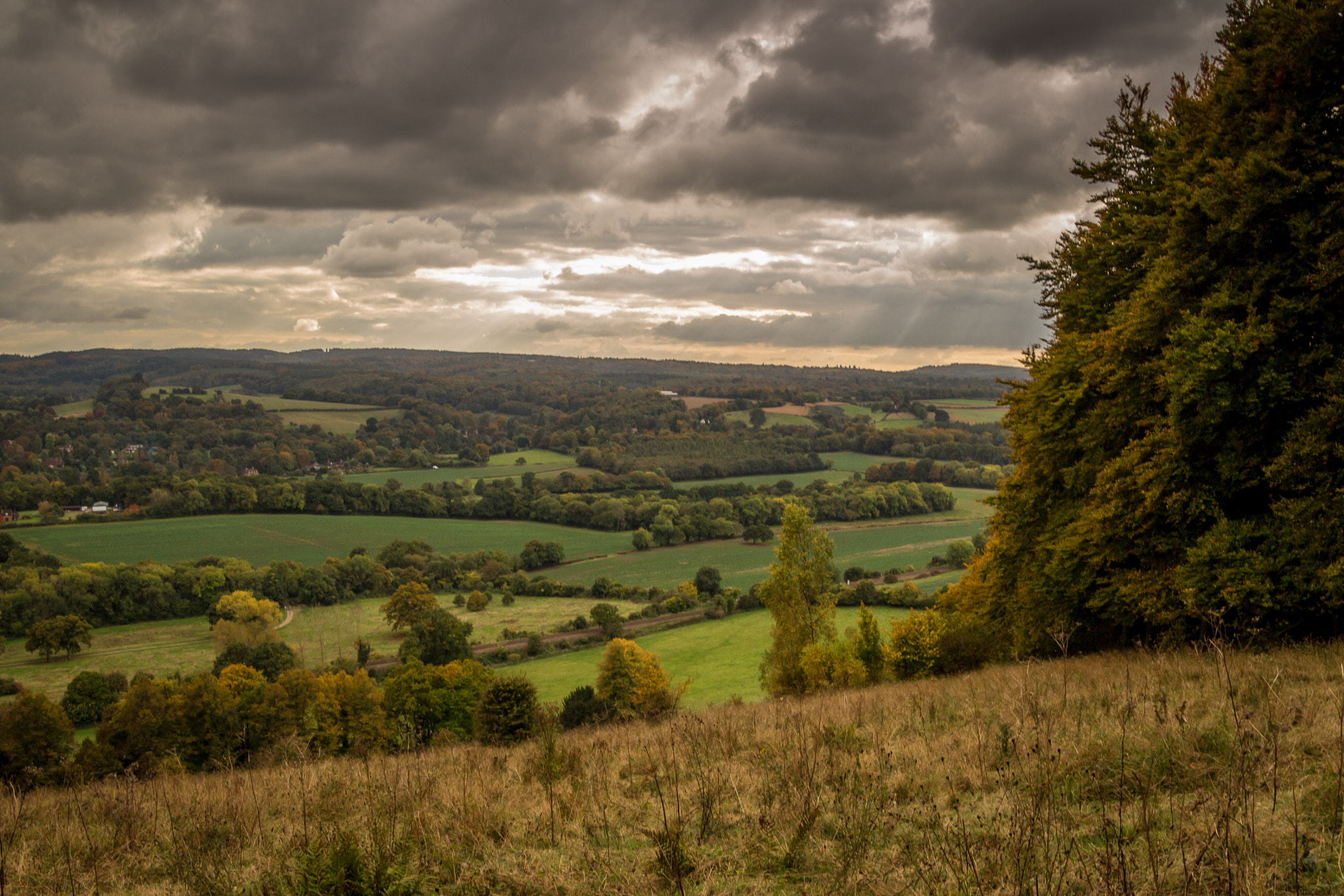 Canon EOS 100D (EOS Rebel SL1 / EOS Kiss X7) sample photo. North downs way views near dorking, surrey. photography