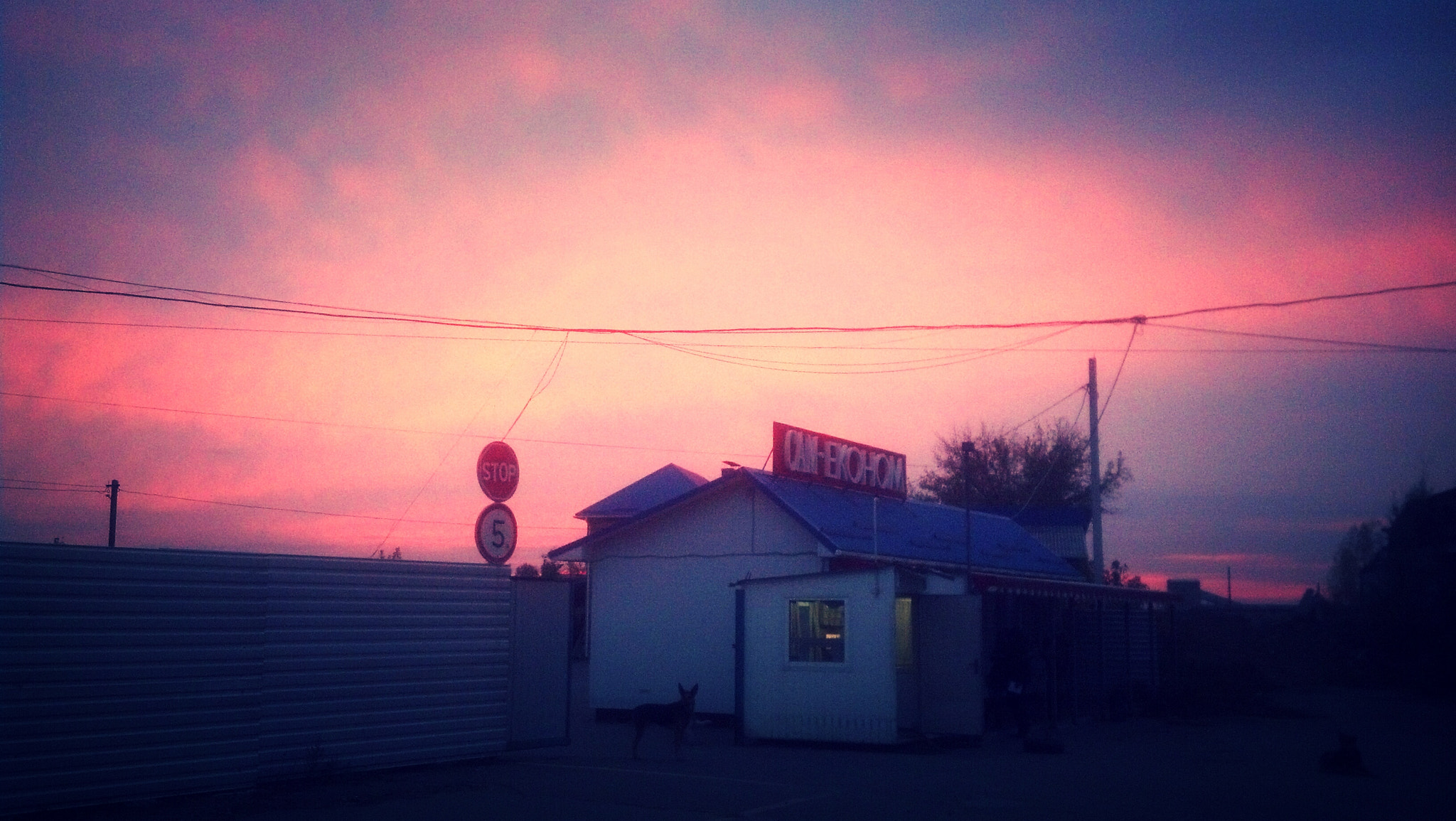 Motorola DROID RAZR sample photo. Morning photography