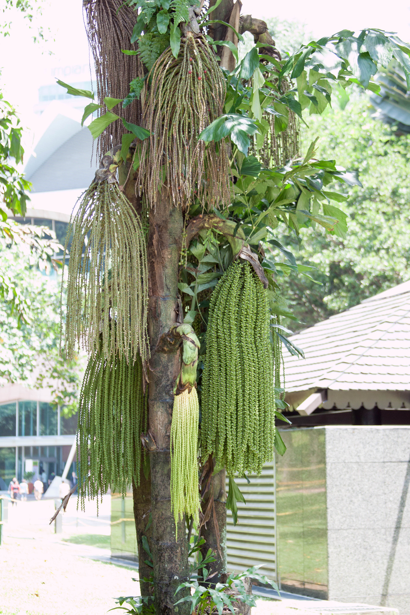 Canon EF 28-135mm F3.5-5.6 IS USM sample photo. Kuala lumpur 4 photography