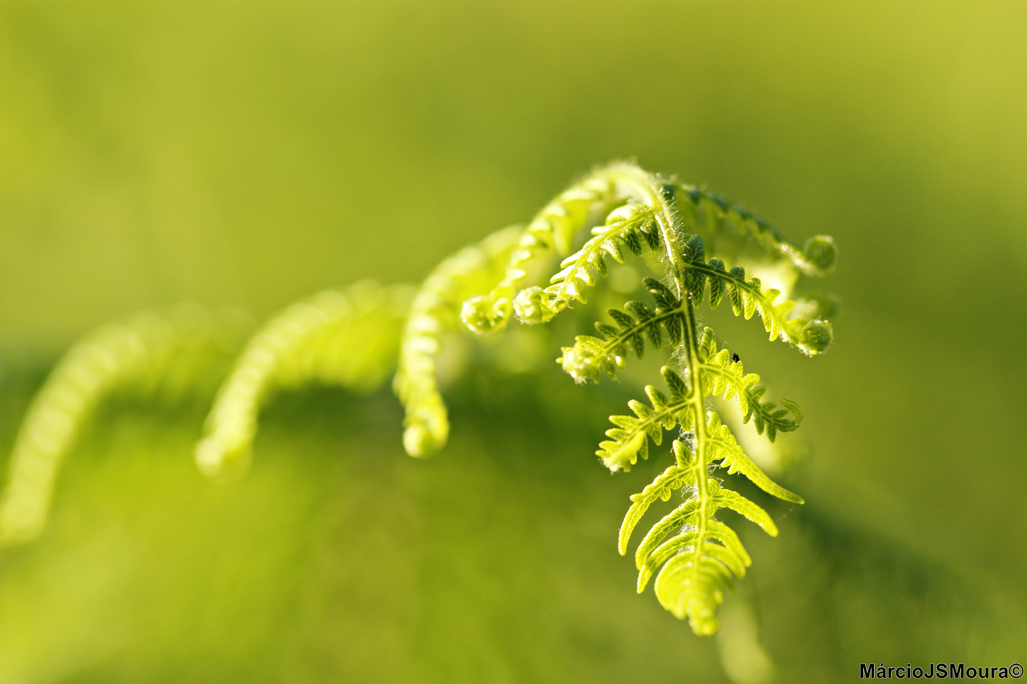 Sigma 24-105mm f/4 DG OS HSM | A sample photo. S/t 5602 photography