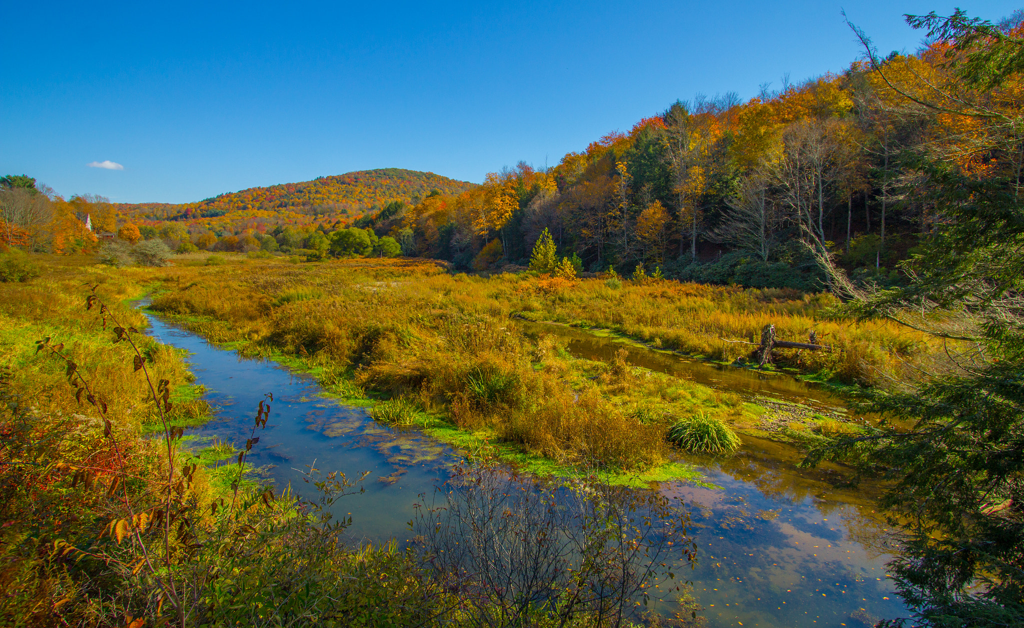 Canon EF-S 10-22mm F3.5-4.5 USM sample photo. The north branch of callicoon creek photography