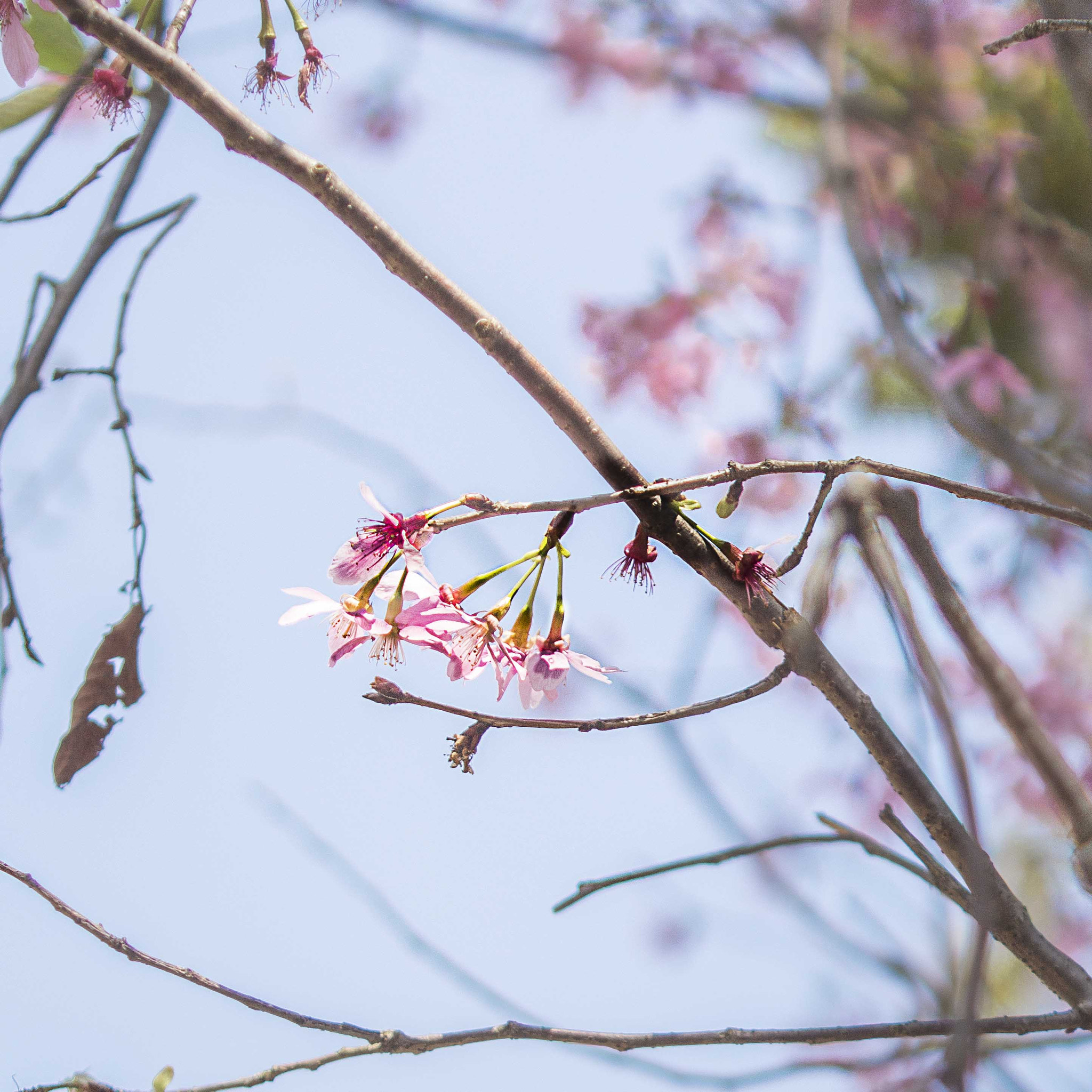 Canon EF 35-80mm f/4-5.6 sample photo