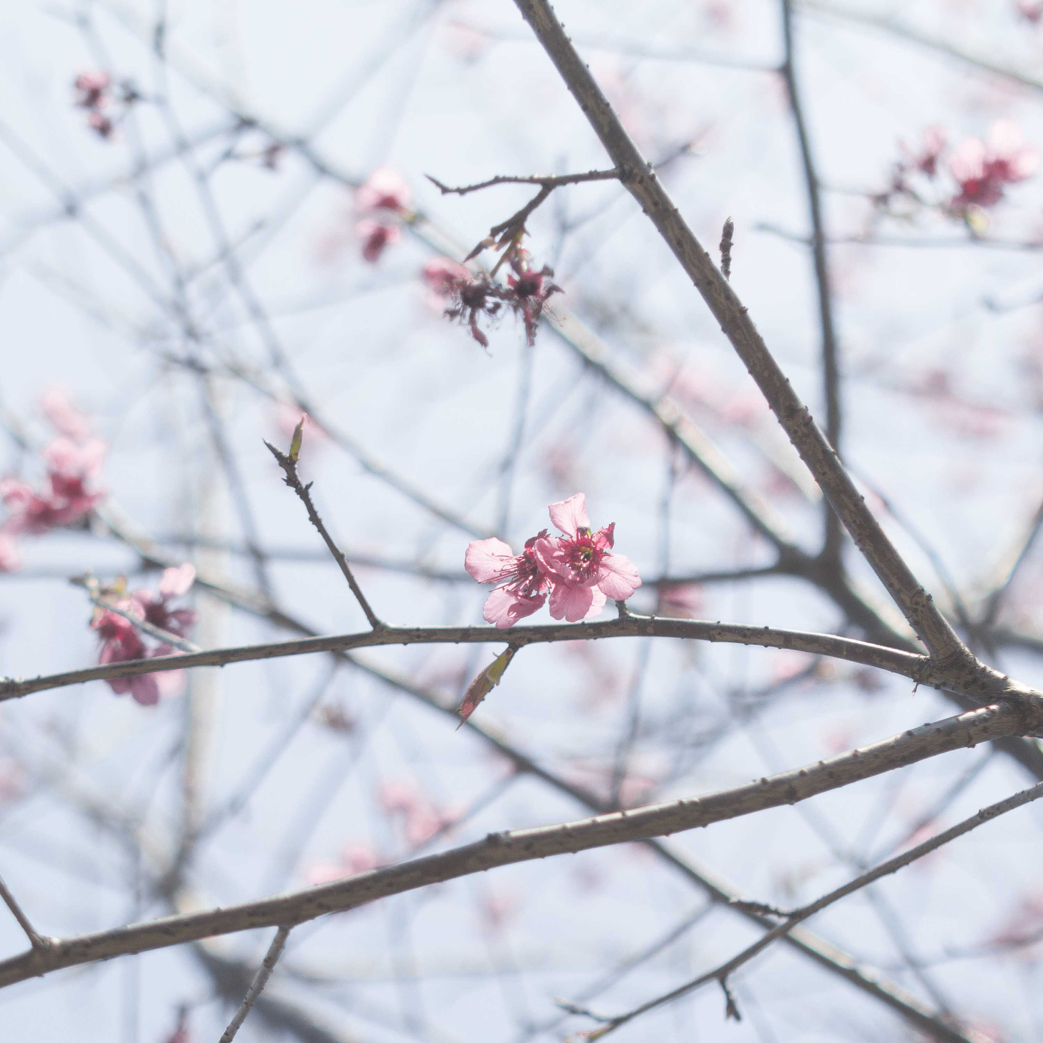 Canon EF 35-80mm f/4-5.6 sample photo