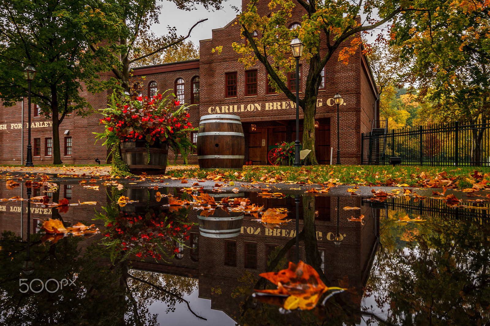 Canon EOS 7D + Canon EF 300mm f/2.8L sample photo. Flipped in the puddle photography