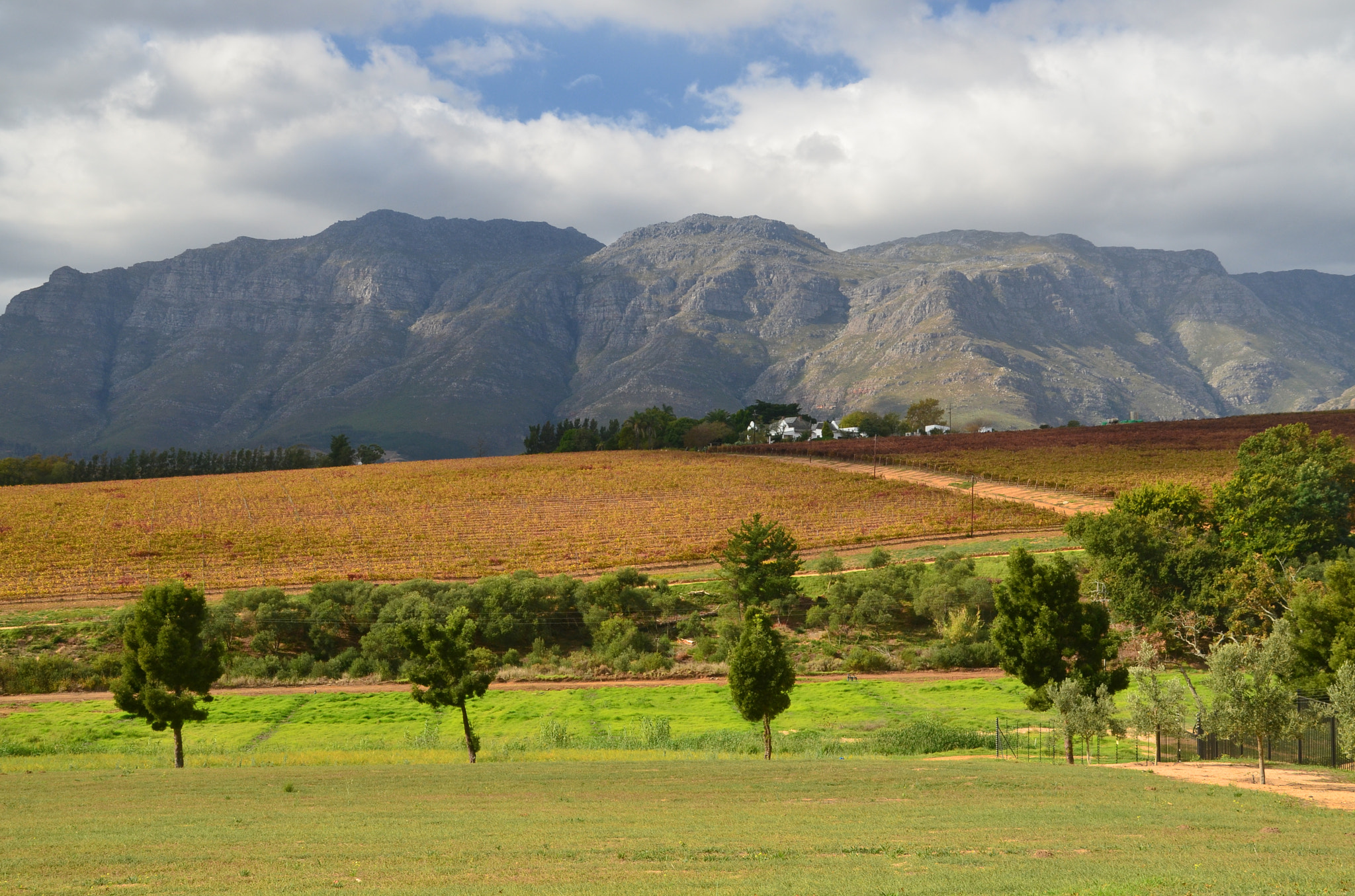Nikon D7000 + Sigma 18-200mm F3.5-6.3 DC sample photo. South africa wine photography