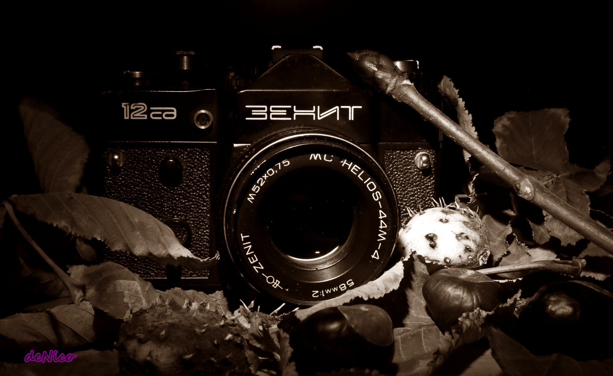 Sigma 24-105mm f/4 DG OS HSM | A sample photo. Img photography