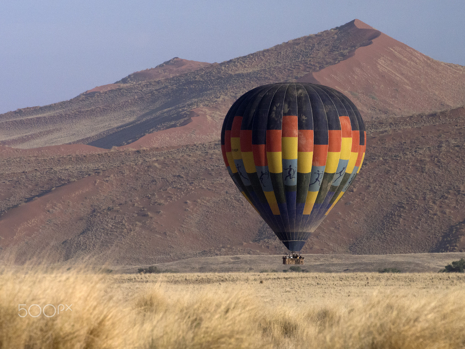 OLYMPUS M.75-300mm F4.8-6.7 sample photo. Getting into the air. photography