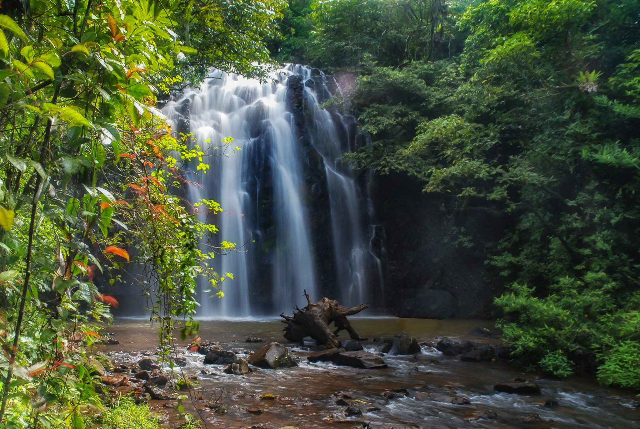 Nikon D80 sample photo. Tropical falls photography