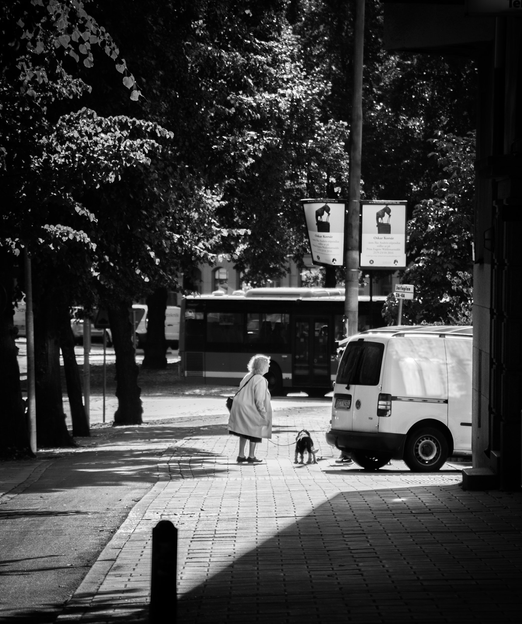 Canon EOS 760D (EOS Rebel T6s / EOS 8000D) sample photo. Lady with dog photography