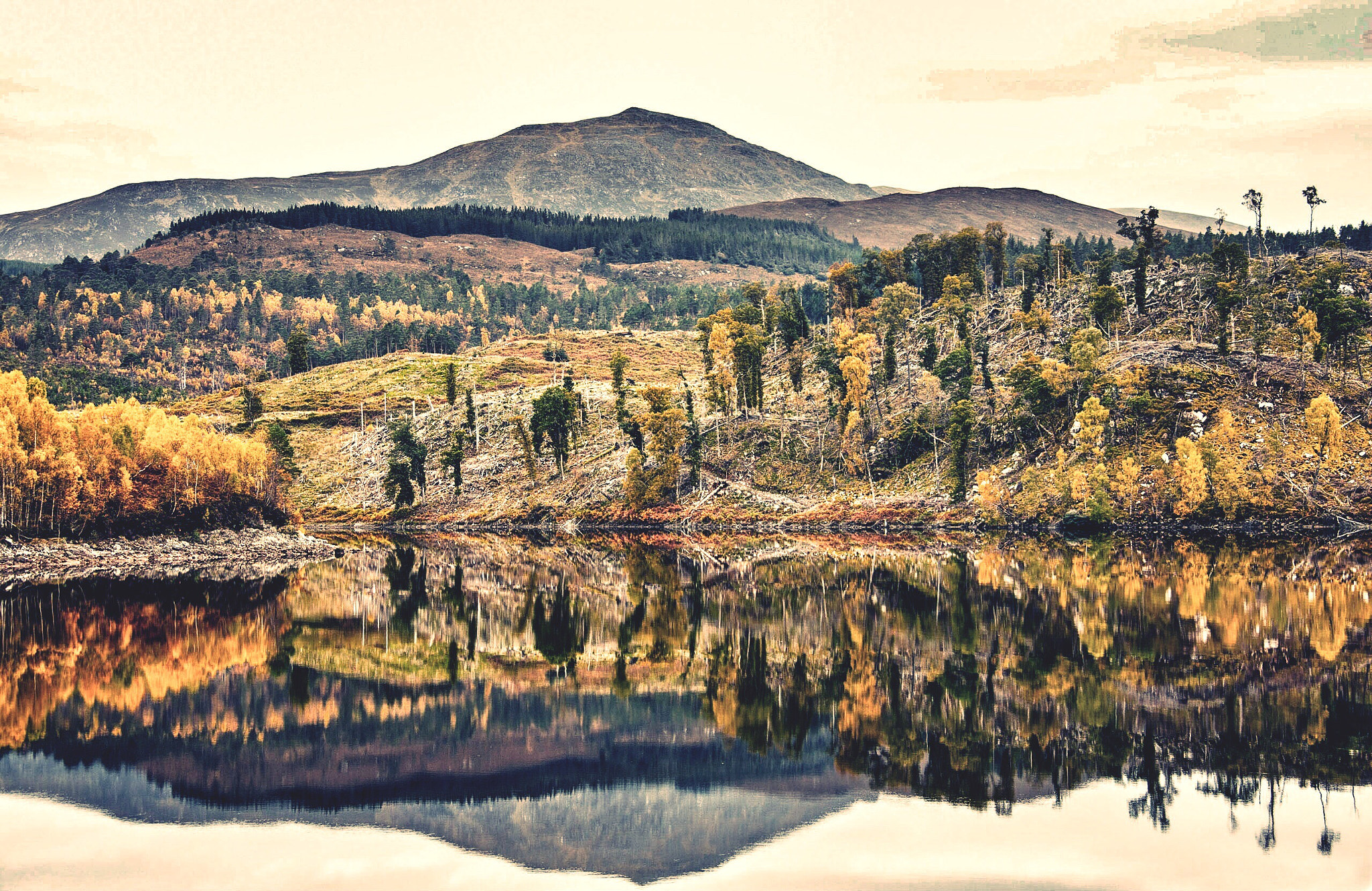 Canon EOS-1Ds Mark III sample photo. Autumn in scotland photography