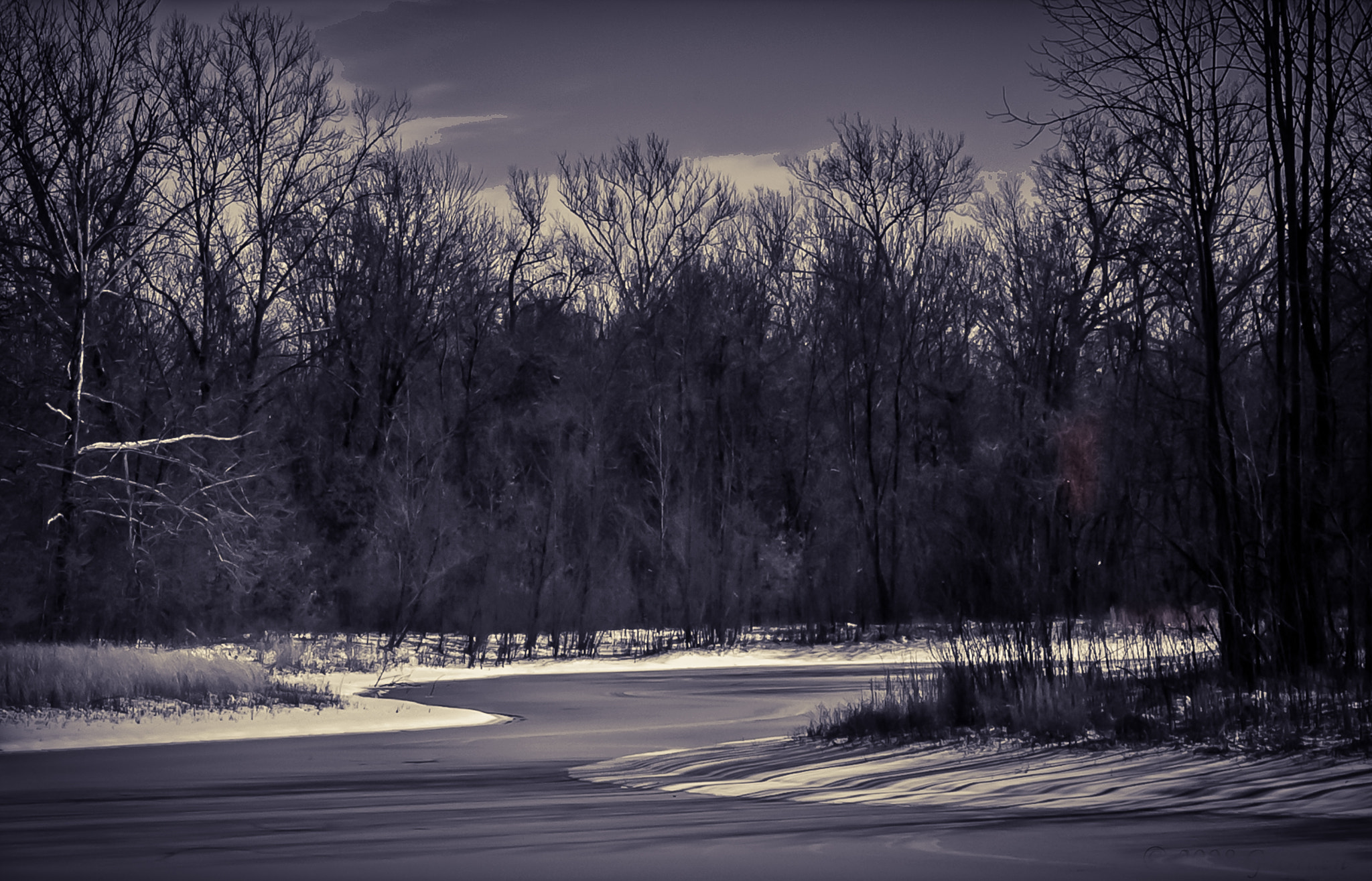 Pentax K100D sample photo. Winter pond photography