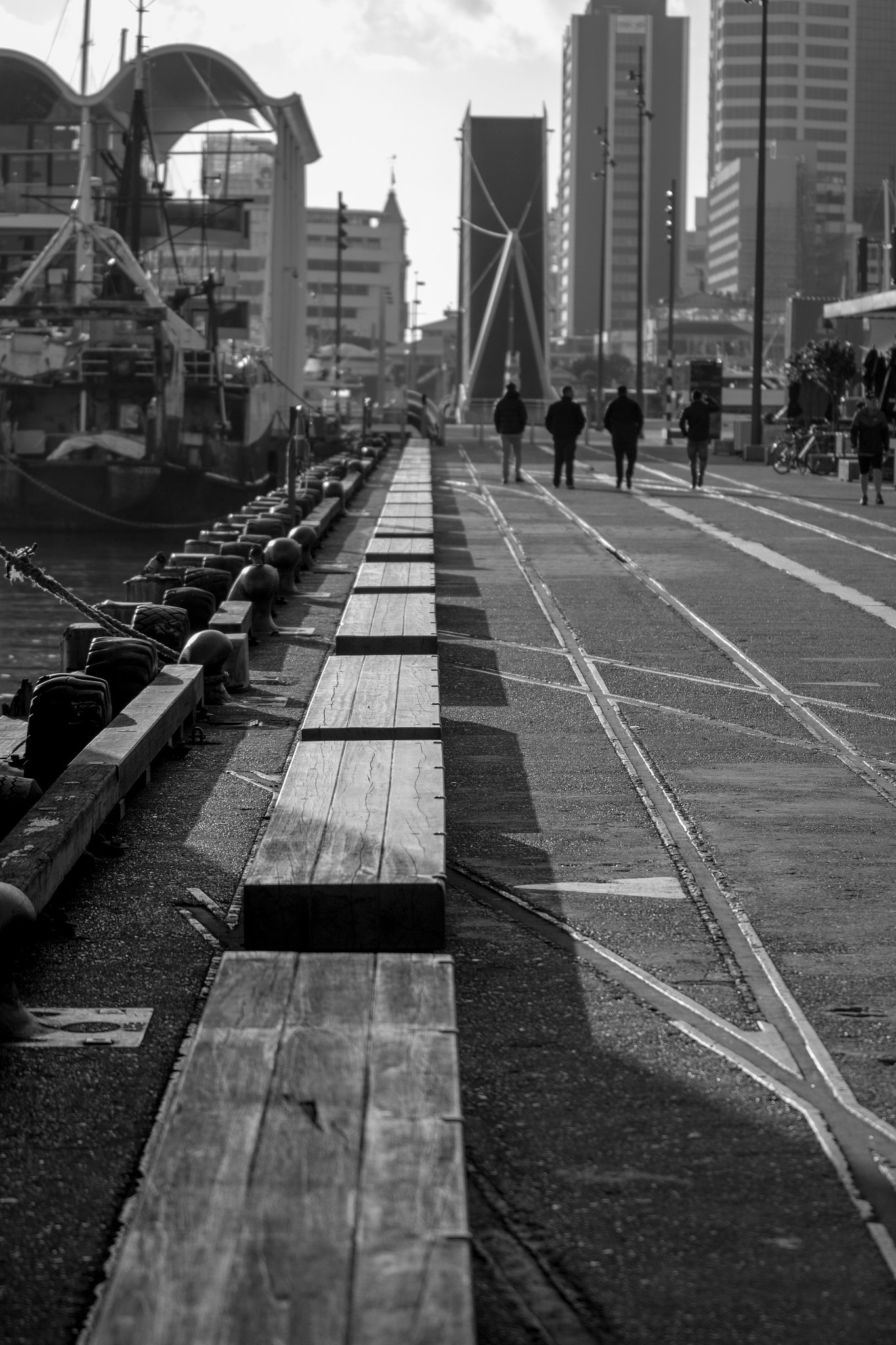 Sigma 70-200mm F2.8 EX DG OS HSM sample photo. Auckland viaduct photography