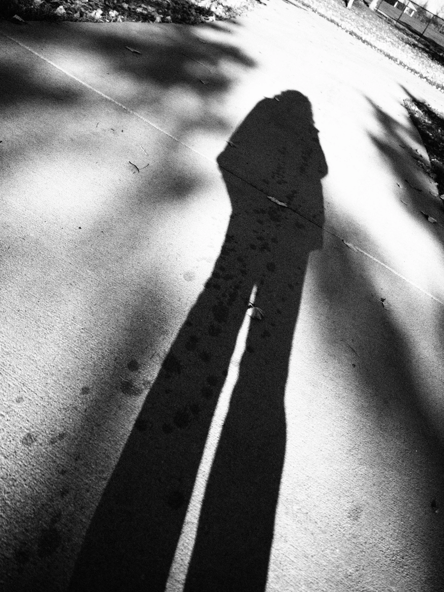 Olympus Air A01 sample photo. Taking my shadow for a walk photography