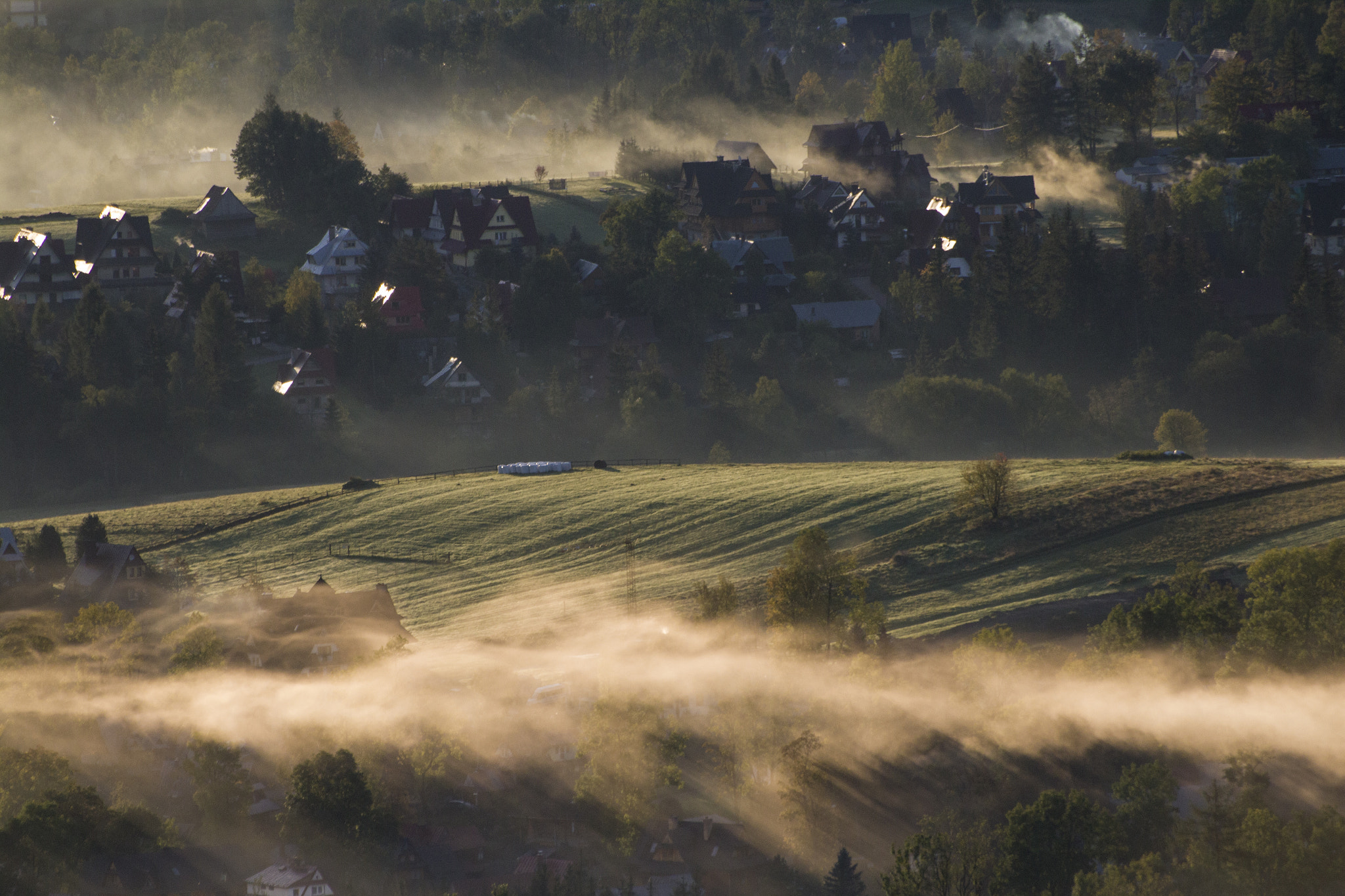 Sigma 70-300mm F4-5.6 APO DG Macro sample photo. Foggy morning photography