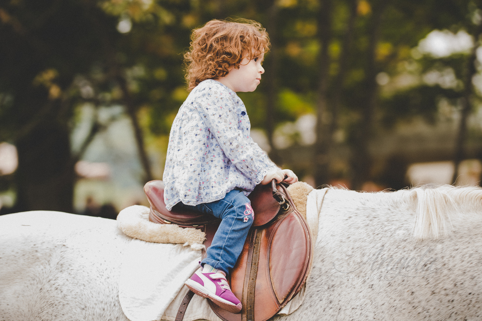 Nikon D500 sample photo. On a horse photography