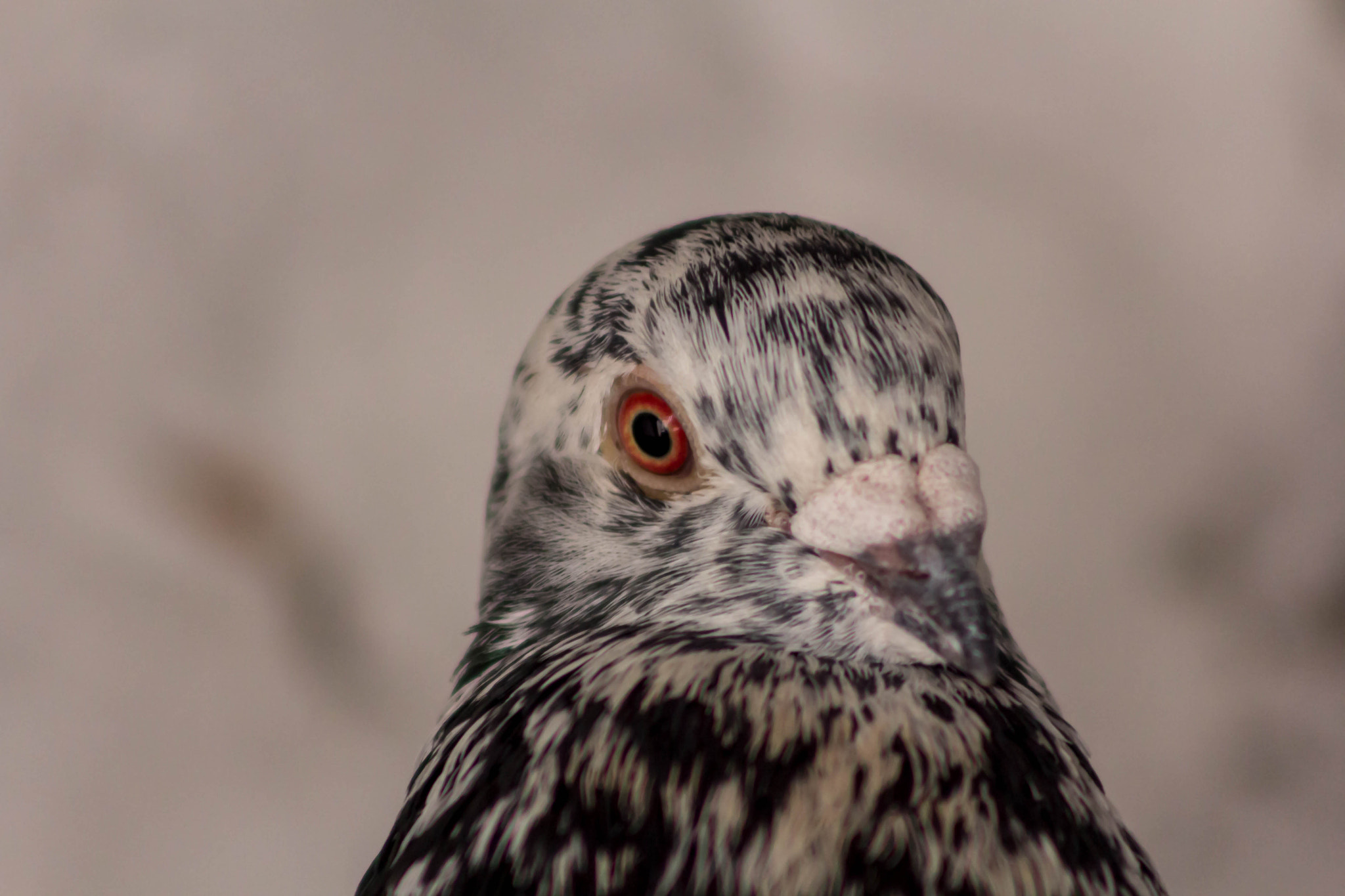 Canon EF 75-300mm f/4-5.6 USM sample photo. Img photography
