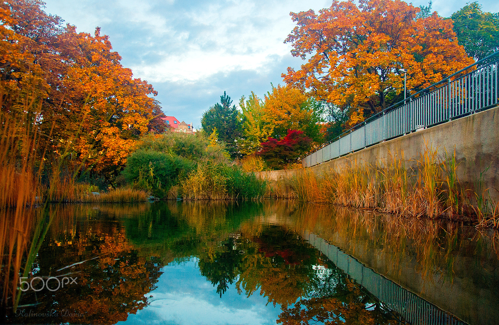 Nikon D80 sample photo. Autumn in the city photography