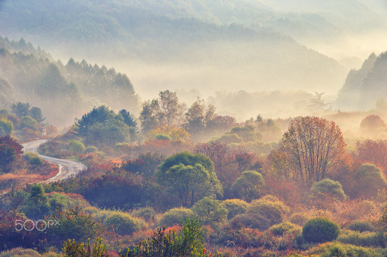 Canon EF 70-200mm F2.8L IS USM sample photo. Injae secret garden photography