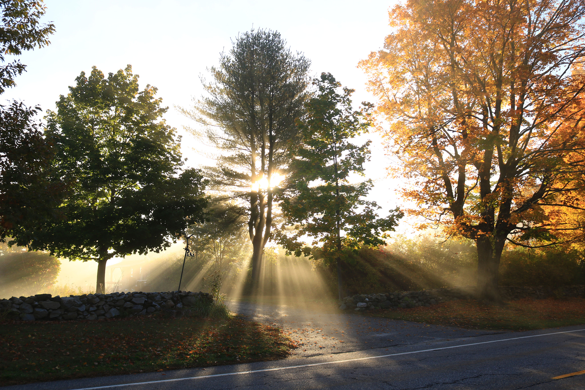 Canon EOS 750D (EOS Rebel T6i / EOS Kiss X8i) sample photo. Streching light photography