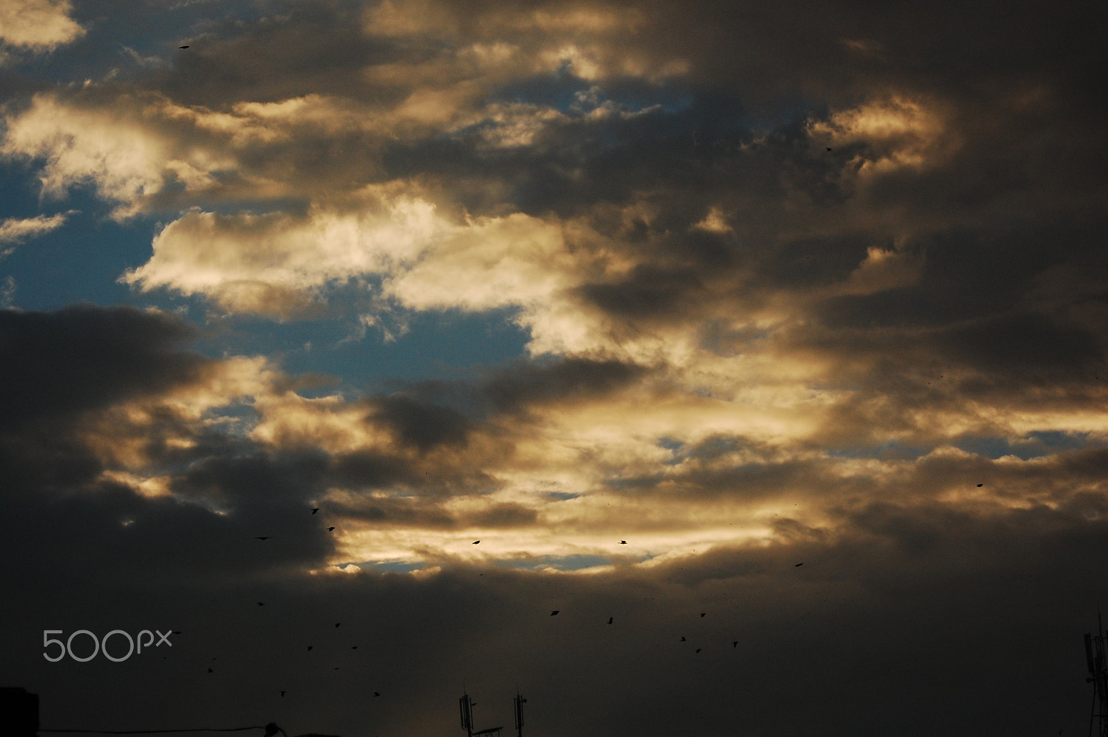 AF Zoom-Nikkor 28-80mm f/3.3-5.6G sample photo. Golden sunset_dsc_5616 photography