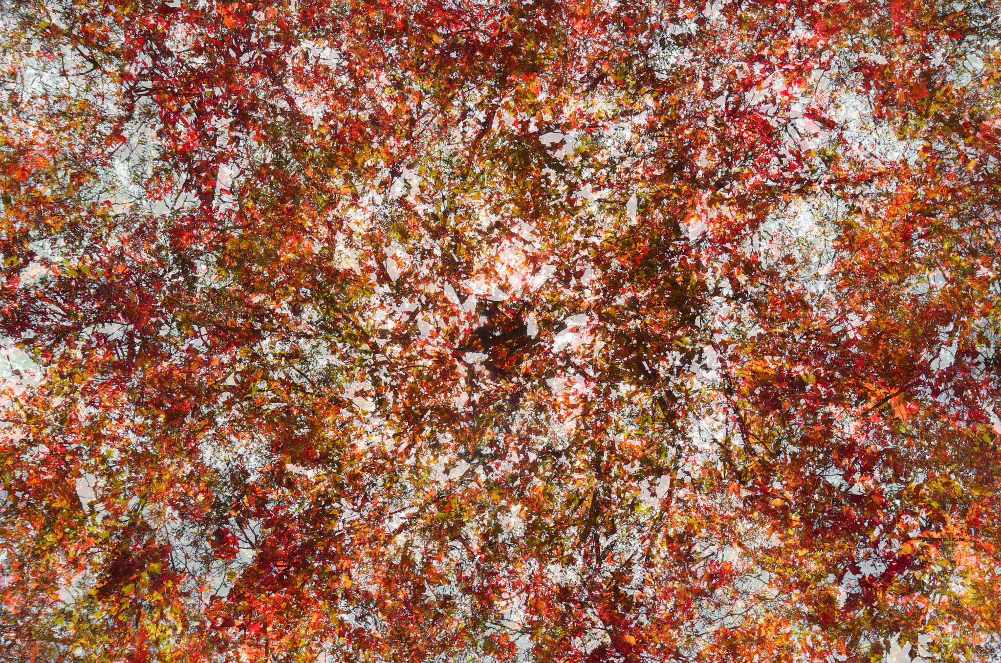 Pentax K-5 II sample photo. Chasing jackson pollock (2016) photography