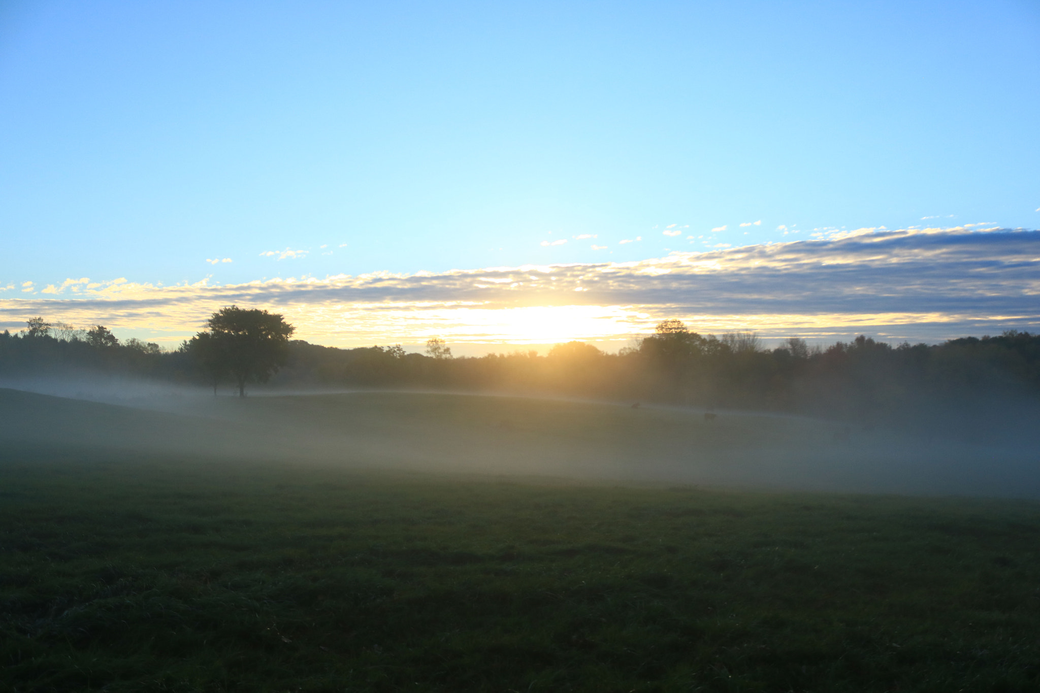Canon EOS 750D (EOS Rebel T6i / EOS Kiss X8i) sample photo. Good morning photography