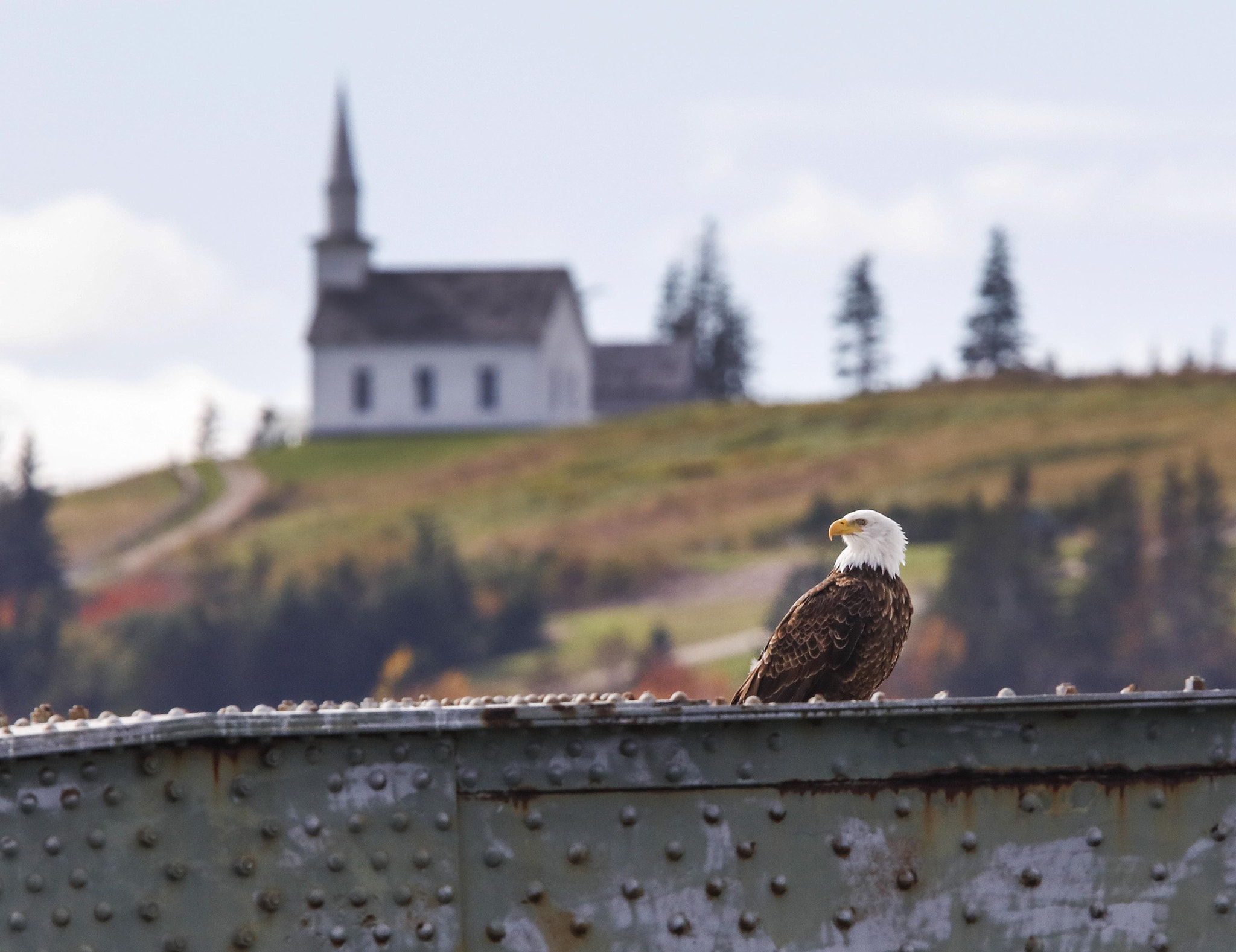 Canon EF 300mm F2.8L IS USM sample photo. Church and state photography