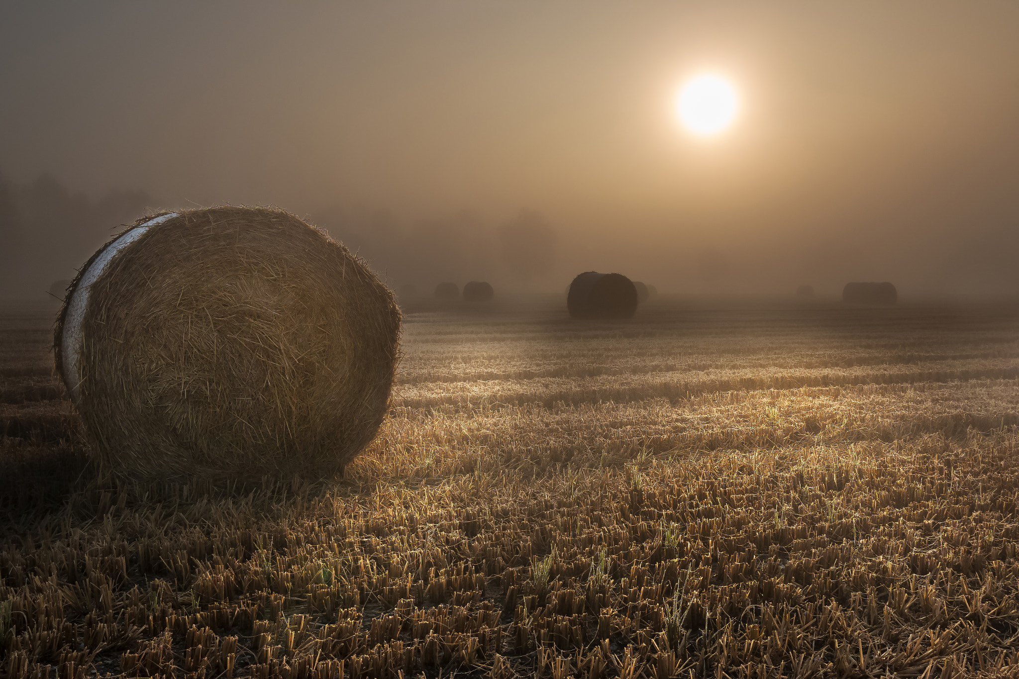 Tokina AT-X Pro 12-24mm F4 (IF) DX sample photo. Alba in lomellina photography