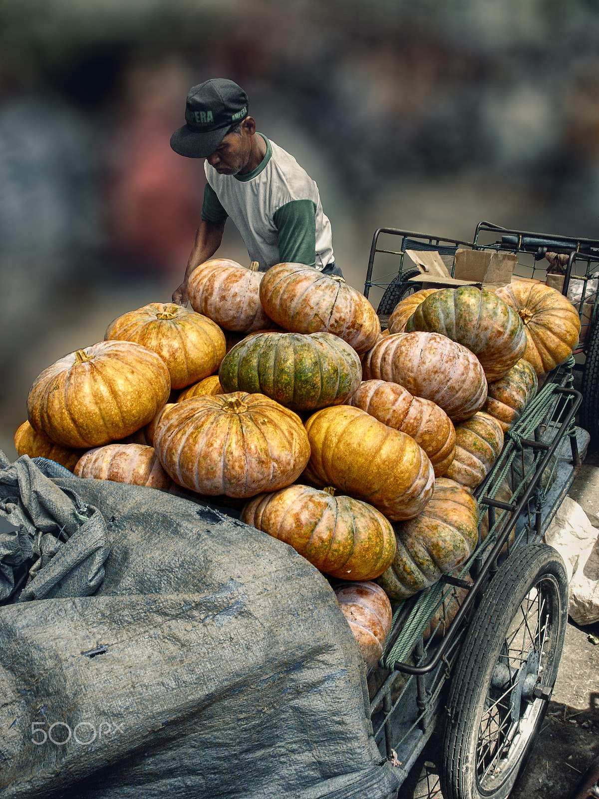 Sony DSC-W1 sample photo. Pumkins on the cart photography